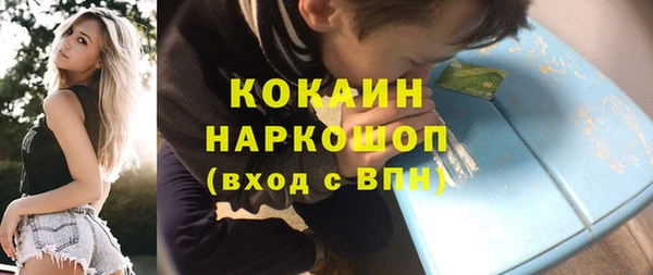 хмурый Белокуриха