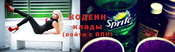 хмурый Белокуриха