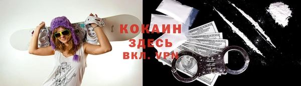 хмурый Белокуриха