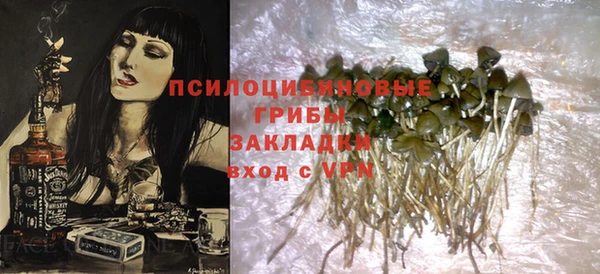 хмурый Белокуриха