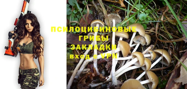 хмурый Белокуриха