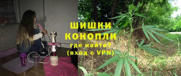 хмурый Белокуриха