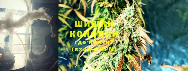 хмурый Белокуриха
