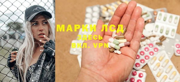 хмурый Белокуриха