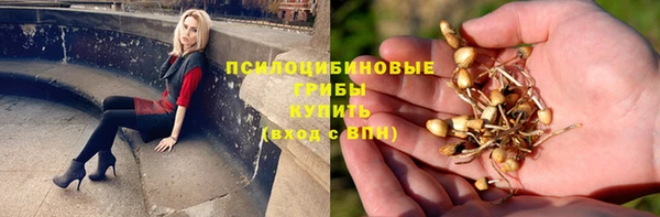 альфа пвп Беломорск